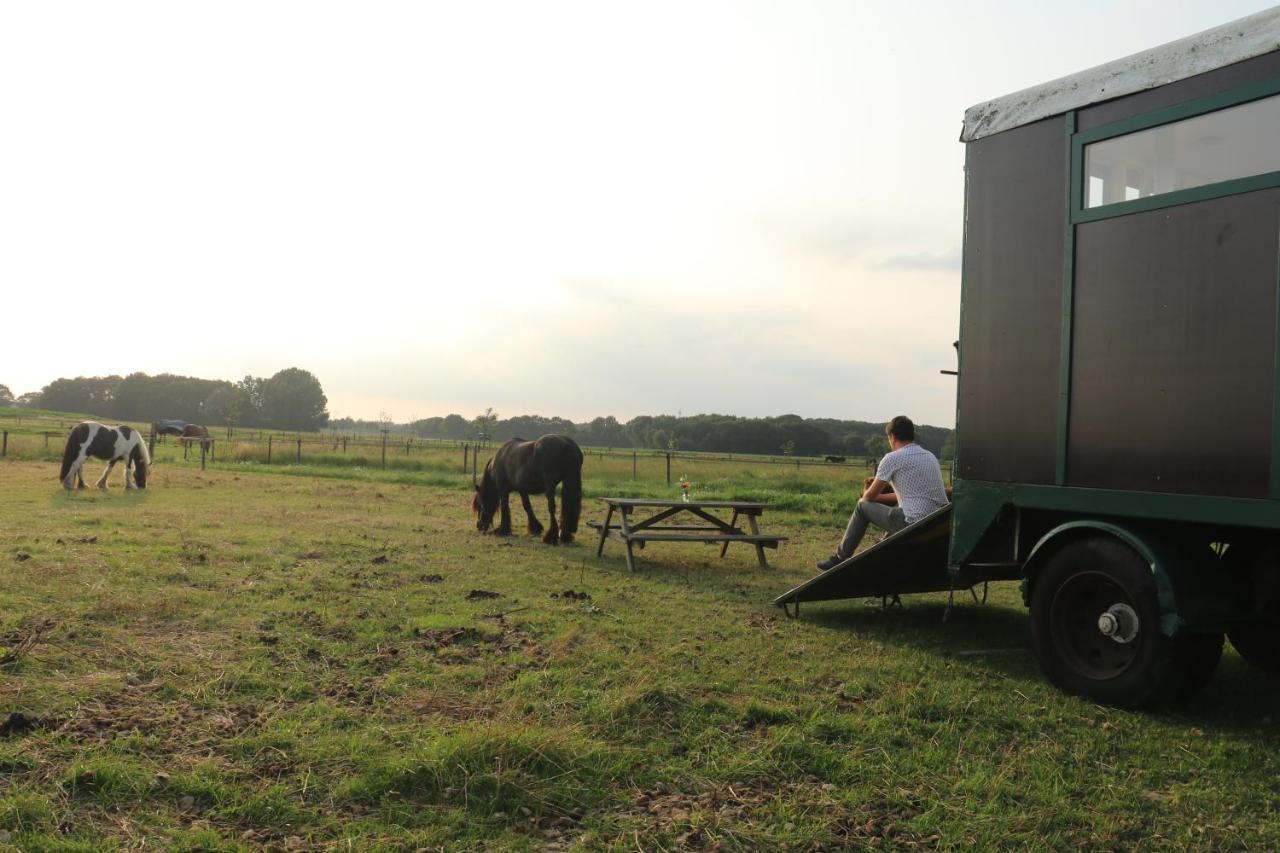 Slapen Tussen De Paarden Hotel Essen ภายนอก รูปภาพ