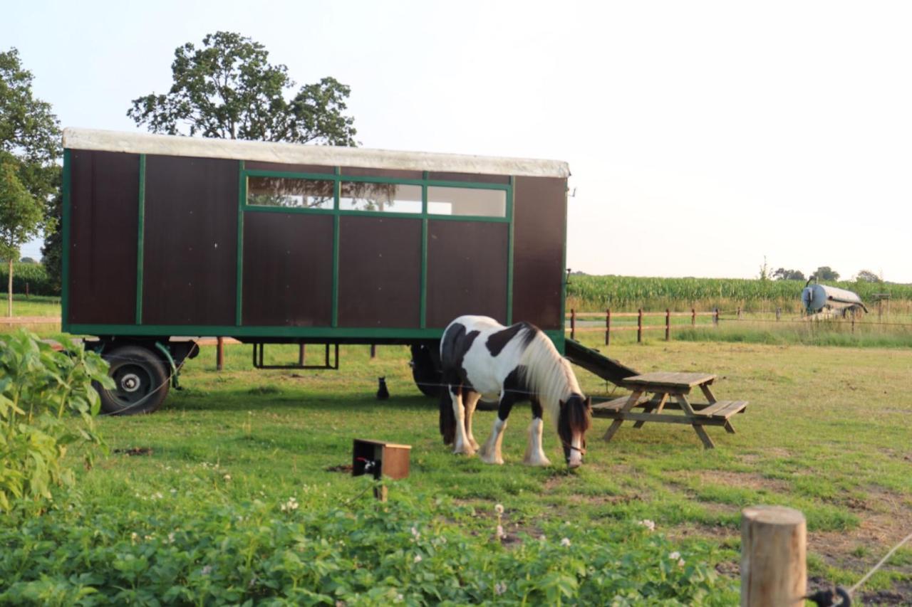 Slapen Tussen De Paarden Hotel Essen ภายนอก รูปภาพ