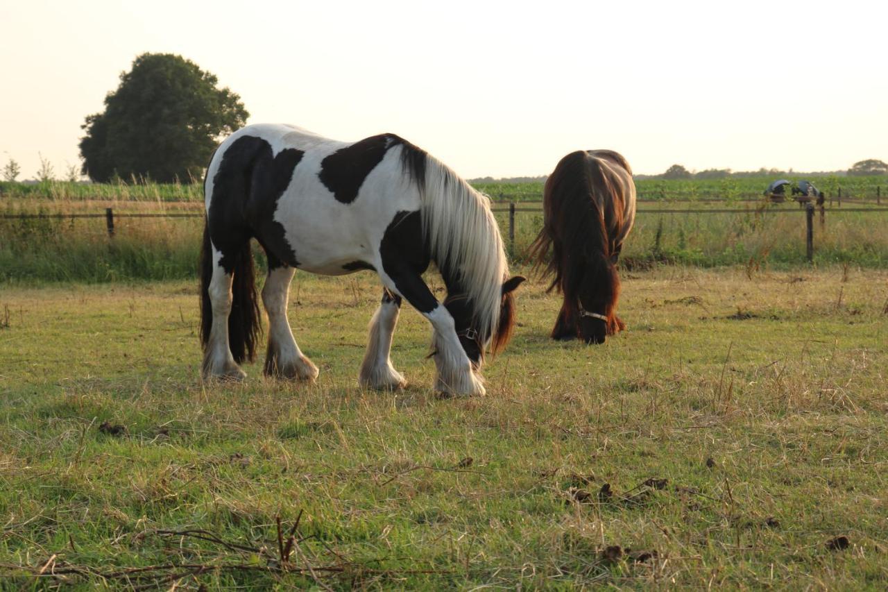 Slapen Tussen De Paarden Hotel Essen ภายนอก รูปภาพ